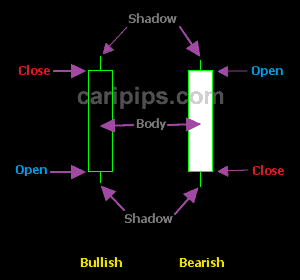 bullish bearish open high low close shadow body candlestick